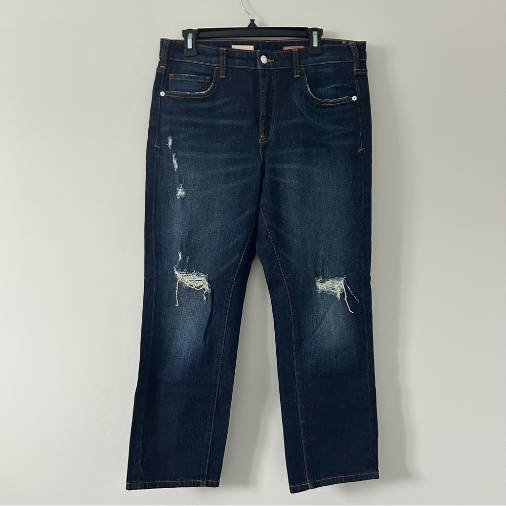 Anthropologie Pilcro The Borrowed High Rise Distressed Boyfriend Denim Jeans 29